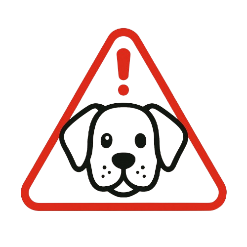 Cão com coleira QR sendo encontrado